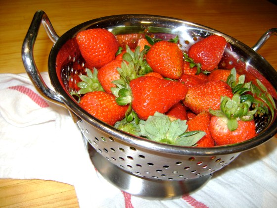 Friday Five {Vol. 7} - finddailyjoy.com