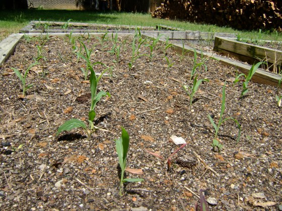 Friday Five {Vol. 8} - finddailyjoy.comDSC03300