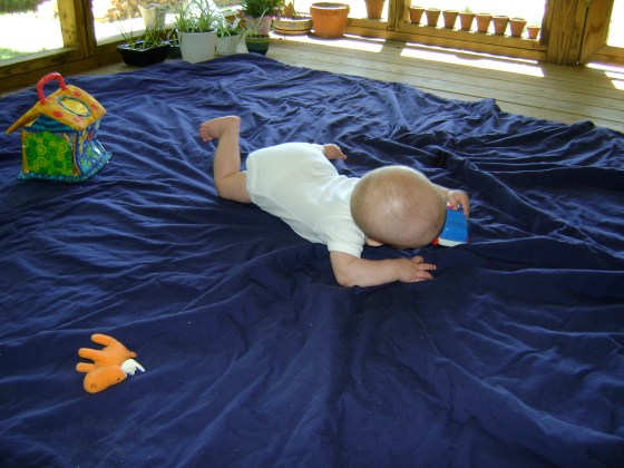 How To Fetch A Car Step 1 - finddailyjoy.com