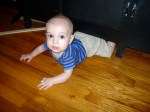 Wedged Under The Cabinet - finddailyjoy.com