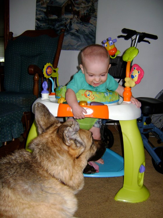 To Grandmother's House We Go - finddailyjoy.com