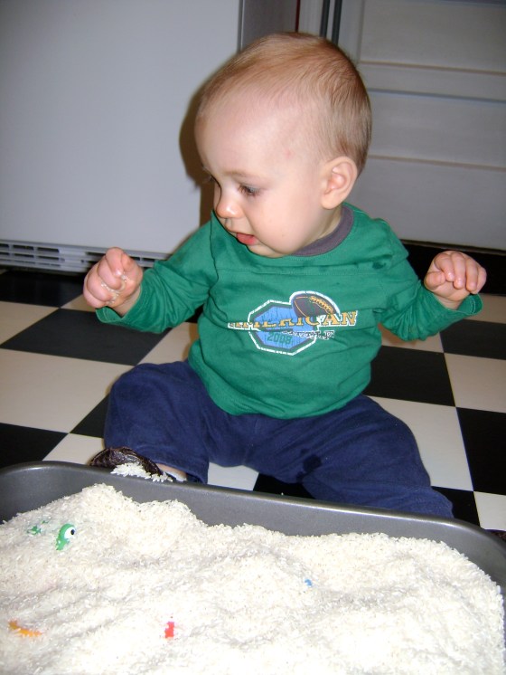 Rice Sensory Bin {Playing With Baby, Day 1} - finddailyjoy.com