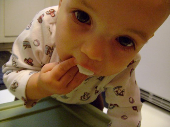 Cotton Ball Squish {Playing With Baby, Day 5} - finddailyjoy.com