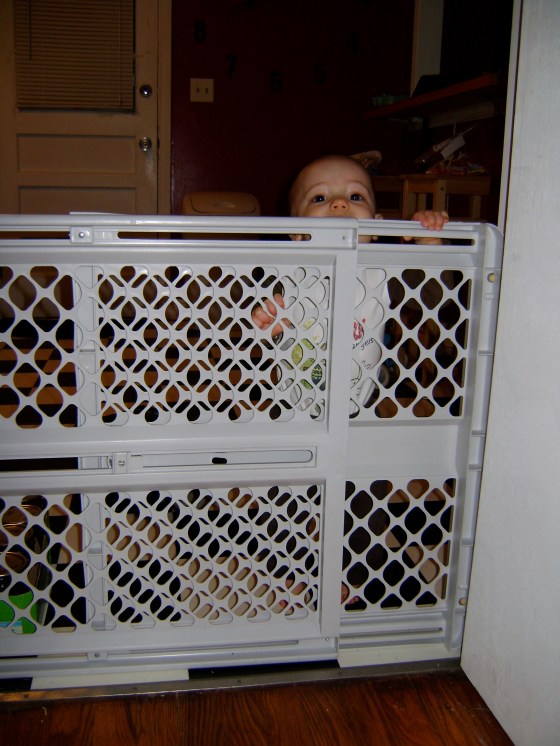 Friday Five {Vol. 21} - finddailyjoy.com