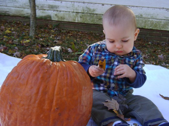 Fall 2013 - finddailyjoy.com