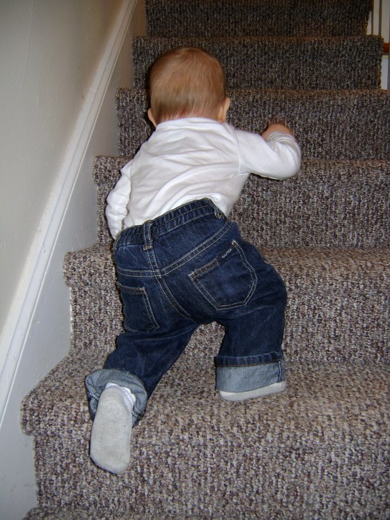 Henry's First Thanksgiving - finddailyjoy.com