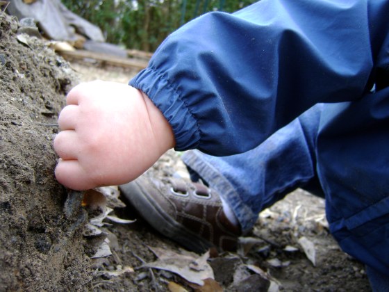 Friday Five {Vol. 28} - finddailyjoy.com