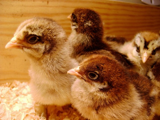 Friday Five {Vol. 29} - finddailyjoy.com