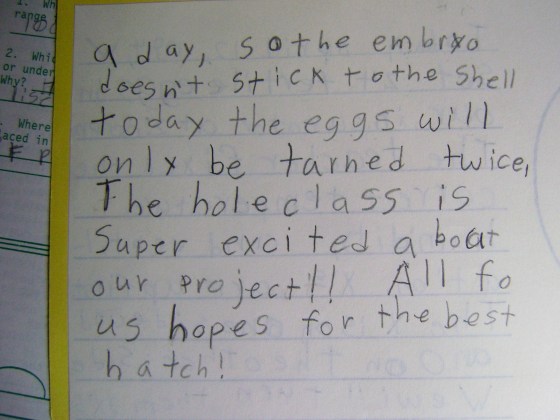 New Residents - finddailyjoy.com