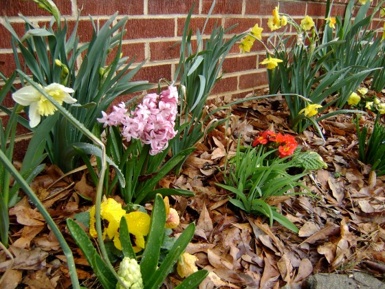 Friday Five {Vol. 29} - finddailyjoy.com