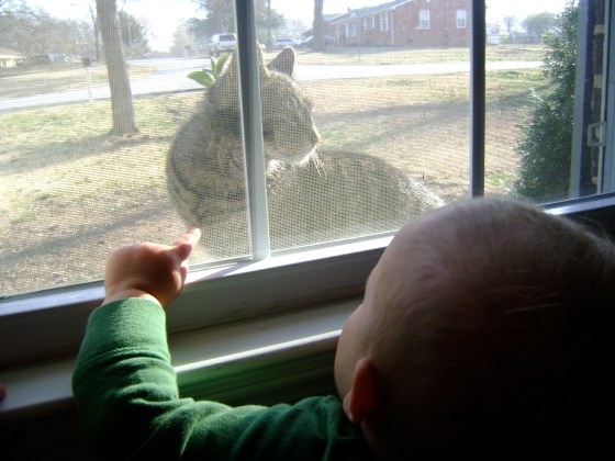 What Is Going On Around Here - finddailyjoy.com