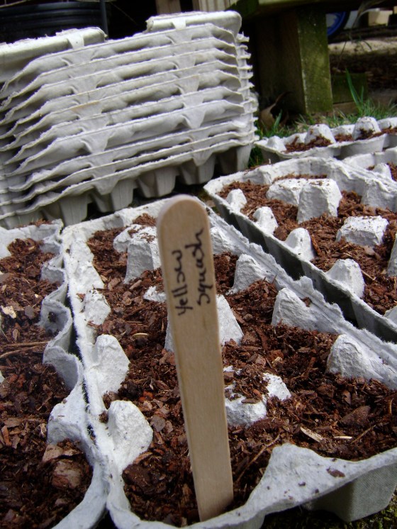 What Is Going On Around Here - finddailyjoy.com