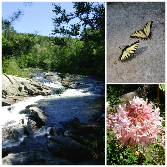 Henry's First Camping Trip - finddailyjoy.com