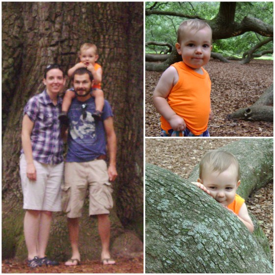 Time To Catch Up {pt. 2} - finddailyjoy.com