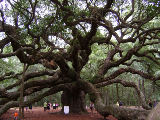 Time To Catch Up {pt. 2} - finddailyjoy.com