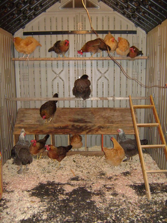 Friday Five {Vol. 38} - finddailyjoy.com