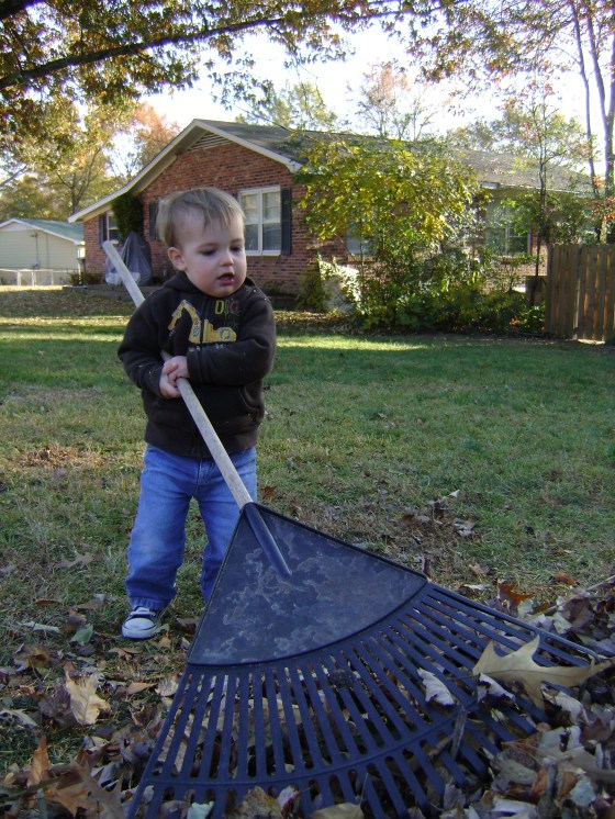 Playing In The Leaves - finddailyjoy.com