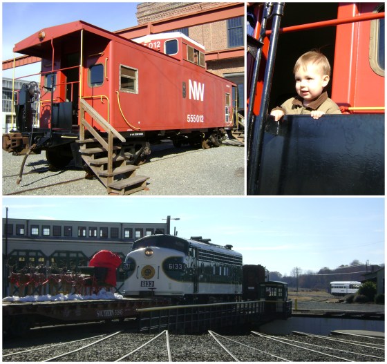 Too Too! - finddailyjoy.com