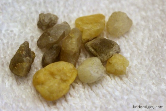 Friday Five {Vol. 40} - finddailyjoy.com